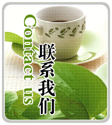 联系我们